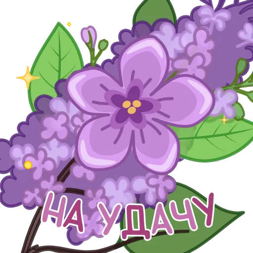 Стикер 12 Анимированный набор эмоджи с открытками