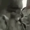 Стикер 22 Animated Rzhombiks