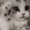 Стикер 28 Animated Rzhombiks