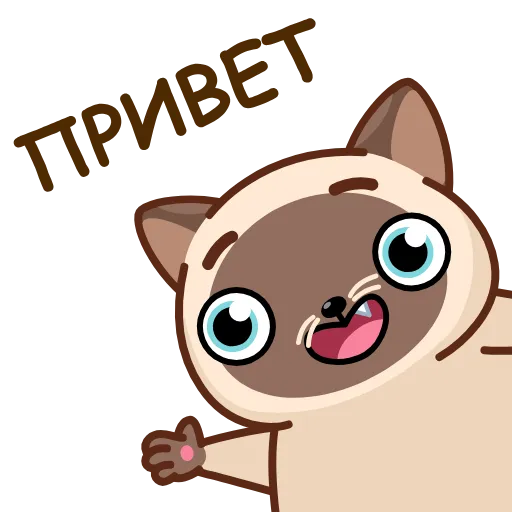 Стикер 9 😎🥹😈💡🙅‍♂️😍