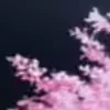 Стикер 3 Animated