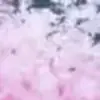 Стикер 5 Animated