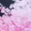 Стикер 4 Animated