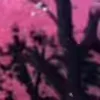 Стикер 17 Animated