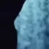 Стикер 44 Animated