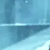 Стикер 47 Animated