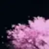 Стикер 13 Animated
