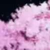 Стикер 14 Animated