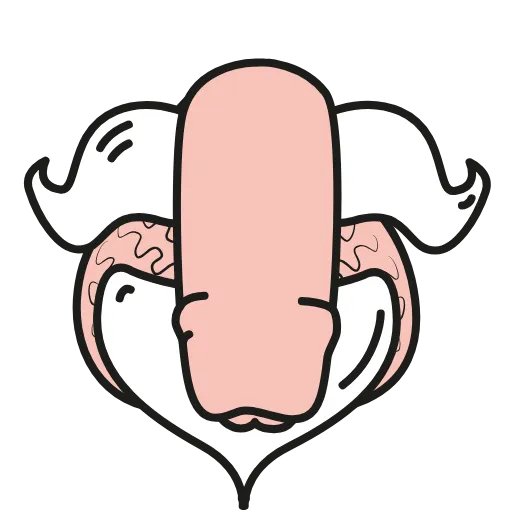 Стикер 5 Animated dicks