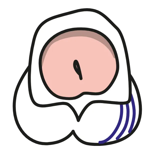 Стикер 12 Animated dicks