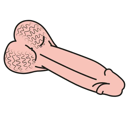 Стикер 23 Animated dicks