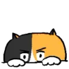 Стикер 10 Animated Ehcat