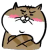 Стикер 55 Animated Ehcat