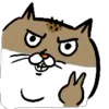 Стикер 50 Animated Ehcat