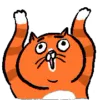 Стикер 25 Animated Ehcat