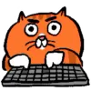 Стикер 31 Animated Ehcat