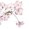 Стикер 50 Asian Heaven — адаптивные фоны и статусы в азиатском стиле
