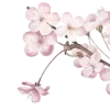 Стикер 55 Asian Heaven — адаптивные фоны и статусы в азиатском стиле