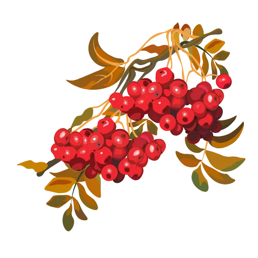 Стикер 31 🍁 Осенние эмодзи.