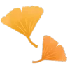 Стикер 59 𝖠𝗎𝗍𝗎𝗆𝗇