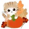 Стикер 24 𝖠𝗎𝗍𝗎𝗆𝗇