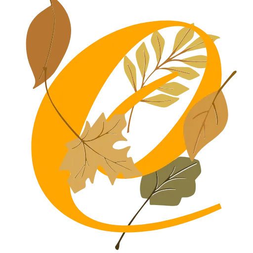 Стикер 50 🍁🍁🍁🍁🍁