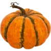 Стикер 4 Fall Season
