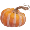Стикер 3 Fall Season
