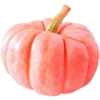 Стикер 5 Fall Season