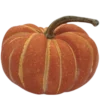 Стикер 6 Fall Season