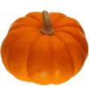 Стикер 2 Fall Season