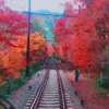 Стикер 15 Autumn