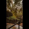 Стикер 27 Autumn