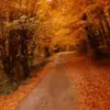 Стикер 12 Autumn