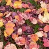 Стикер 7 Autumn