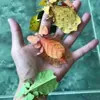 Стикер 5 Autumn