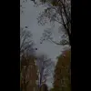 Стикер 30 Autumn