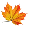 🍁 Эмодзи «Осенние эмодзи» для Telegram