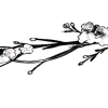 Стикер 39 黒 𛃂𝑙𝑎𝑐𝑘 𖹅𝑎𝑝𝑎𝑛