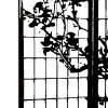 Стикер 9 黒 𛃂𝑙𝑎𝑐𝑘 𖹅𝑎𝑝𝑎𝑛