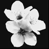 Стикер 8 黒 𛃂𝑙𝑎𝑐𝑘 𖹅𝑎𝑝𝑎𝑛