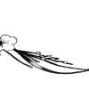 Стикер 35 黒 𛃂𝑙𝑎𝑐𝑘 𖹅𝑎𝑝𝑎𝑛