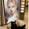 Стикер 49 BLACKPINK