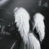 Стикер 16 BLACKPINK