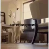 Стикер 42 Бум