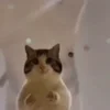 Стикер 10 Бум