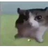 Стикер 4 Бум
