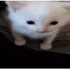 Стикер 9 Бум