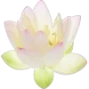 Стикер 51 ..᱙` baizhu -