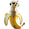 Стикер 19 Brainrot2Emoji